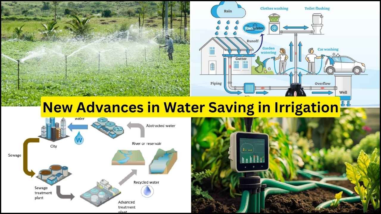 New Advances in Water Saving in Irrigation, Exploring Efficient Water Saving Techniques for Sustainable Agriculture