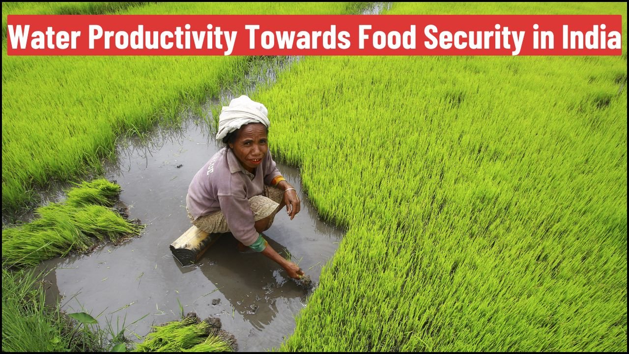 Water Productivity Towards Food Security in India