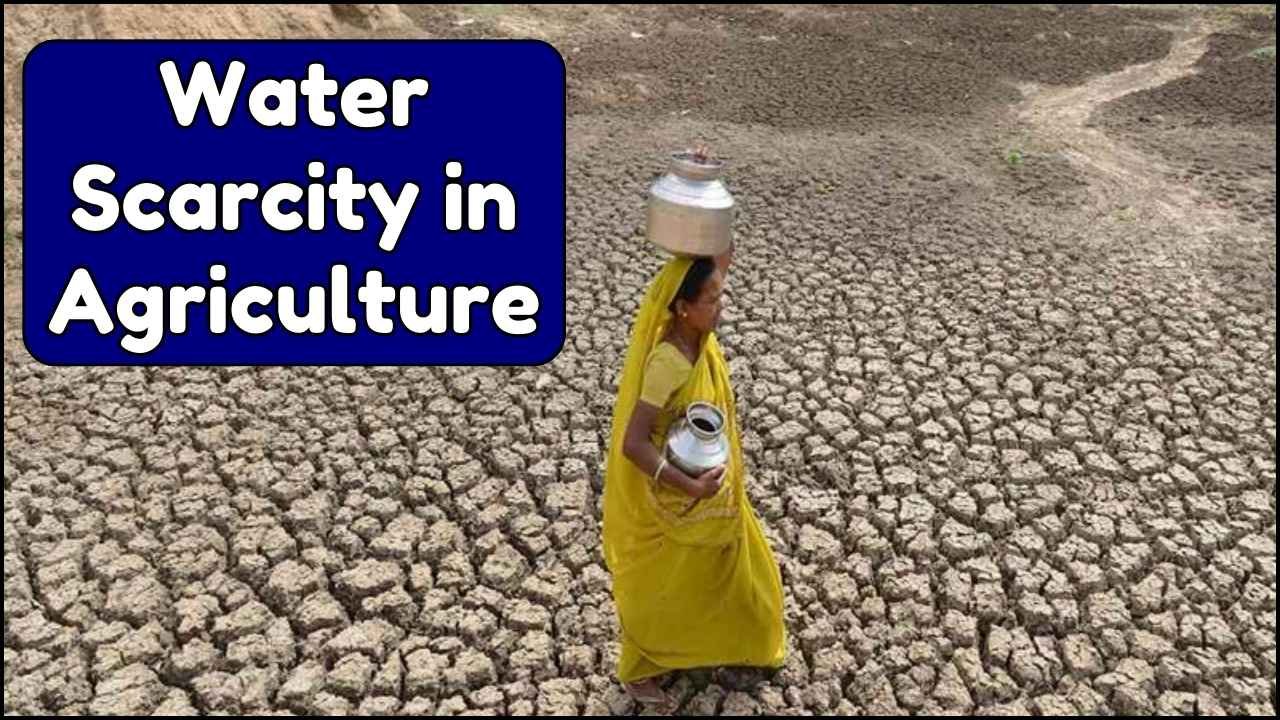 Water Scarcity in Agriculture