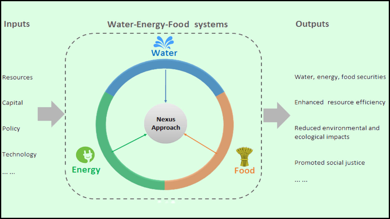 Water–Energy–Food Nexus